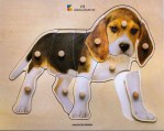 A3334190 Realistische puzzel hond 01 Tangara Groothandel voor de Kinderopvang Kinderdagverblijfinrichting